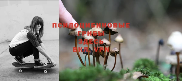 спиды Алзамай