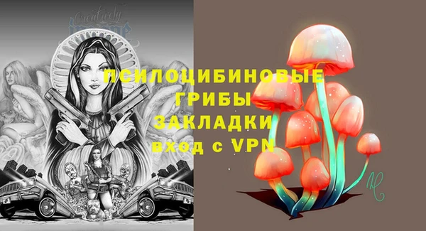 спиды Алзамай